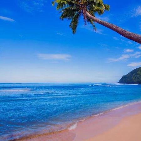 Survivor Samoa Beach Resort Falelatai Kültér fotó