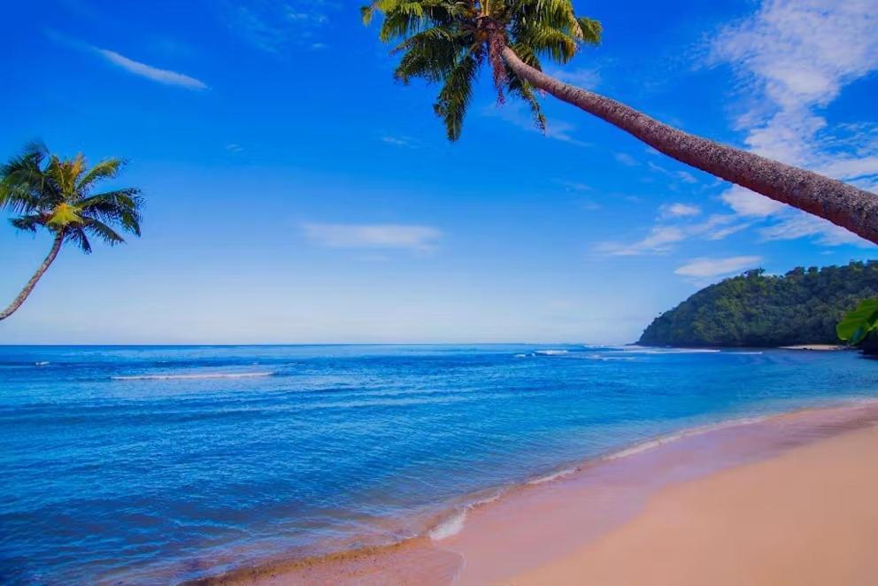 Survivor Samoa Beach Resort Falelatai Kültér fotó